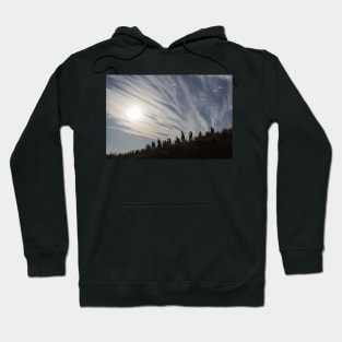 walking downhill Hoodie